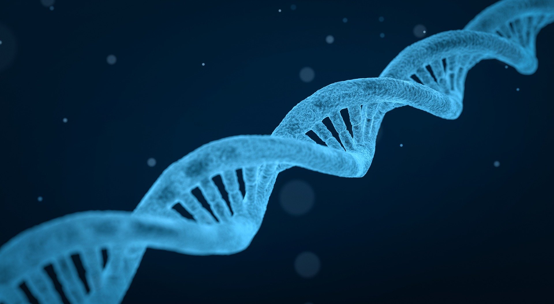Falha genética é encontrada em células de tecidos criados a partir do estoque iPS de Quioto