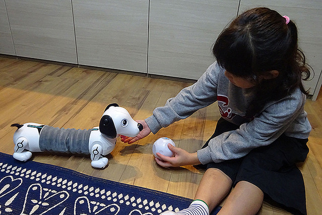Empresa desenvolve cachorro robô: mais silencioso, limpo e barato