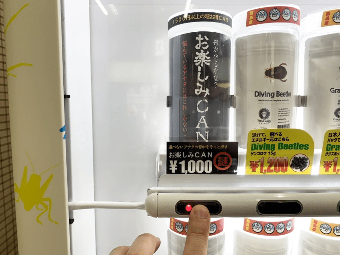 Teste da máquina de venda automática de insetos comestíveis de Tóquio