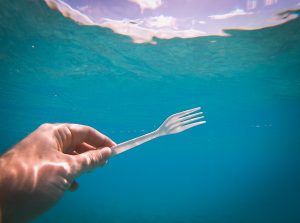 While snorkeling in Barbados, found a plastic fork sticking out of the sand below. Single-use plastics are littering our world's oceans at an epidemic rate, interacting with ocean life in truly harmful ways. One of the most simple actions you can take at home to save the ocean is to be mindful of your plastic consumption, and opt for re-usable items whenever possible. Follow on Instagram @wildlife_by_yuri, and find more free plastic pollution photos at: https://www.wildlifebyyuri.com/free-ocean-photography
