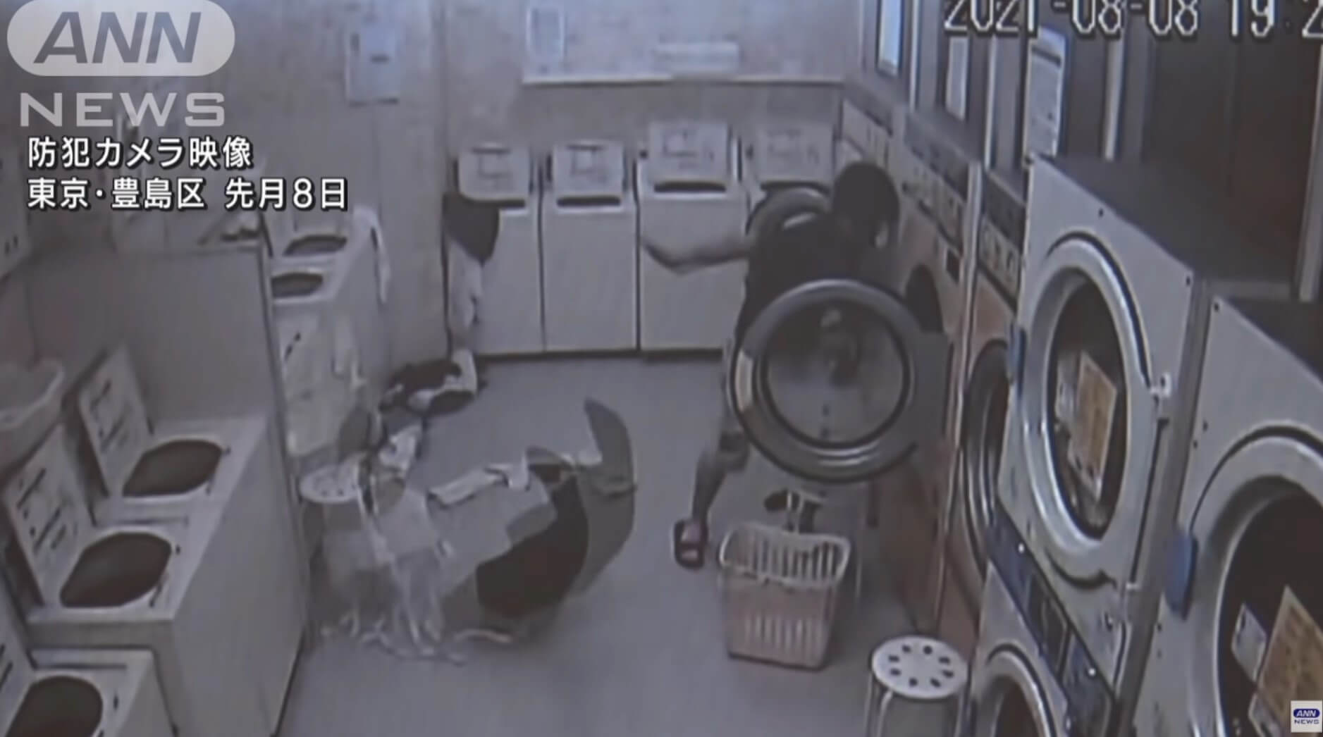O homem que pirou na lavanderia é preso sob suspeita de vandalismo
