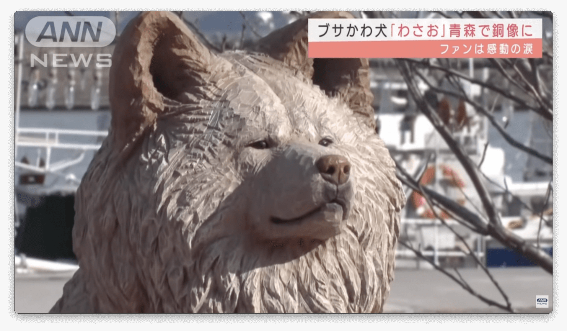 Estátua de cachorro feio é inaugurada no Japão