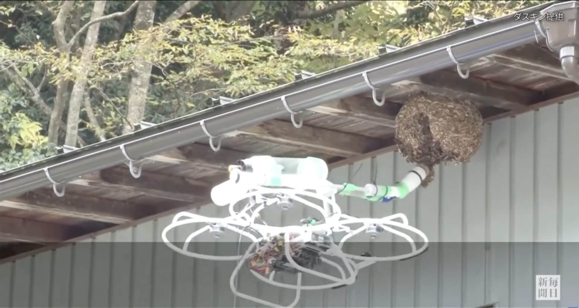 Drone, com sucção com vácuo, é o novo reforço para lidar com vespas mandarinas