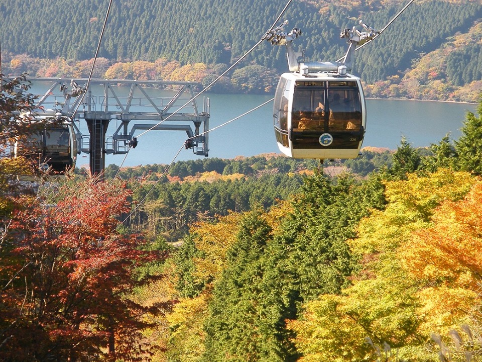 As cores do outono podem ser vistas de novo desde o teleférico de Hakone