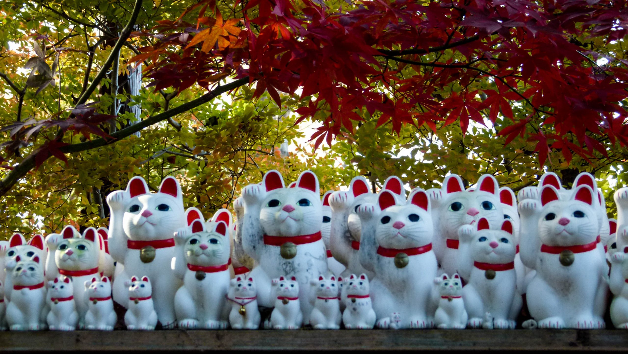 Gotokuji: o Templo dos Gatos em Tóquio
