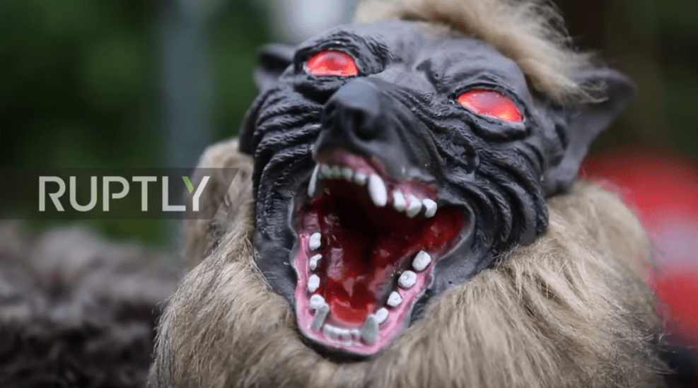 Lobo robô está protegendo as plantações no Japão