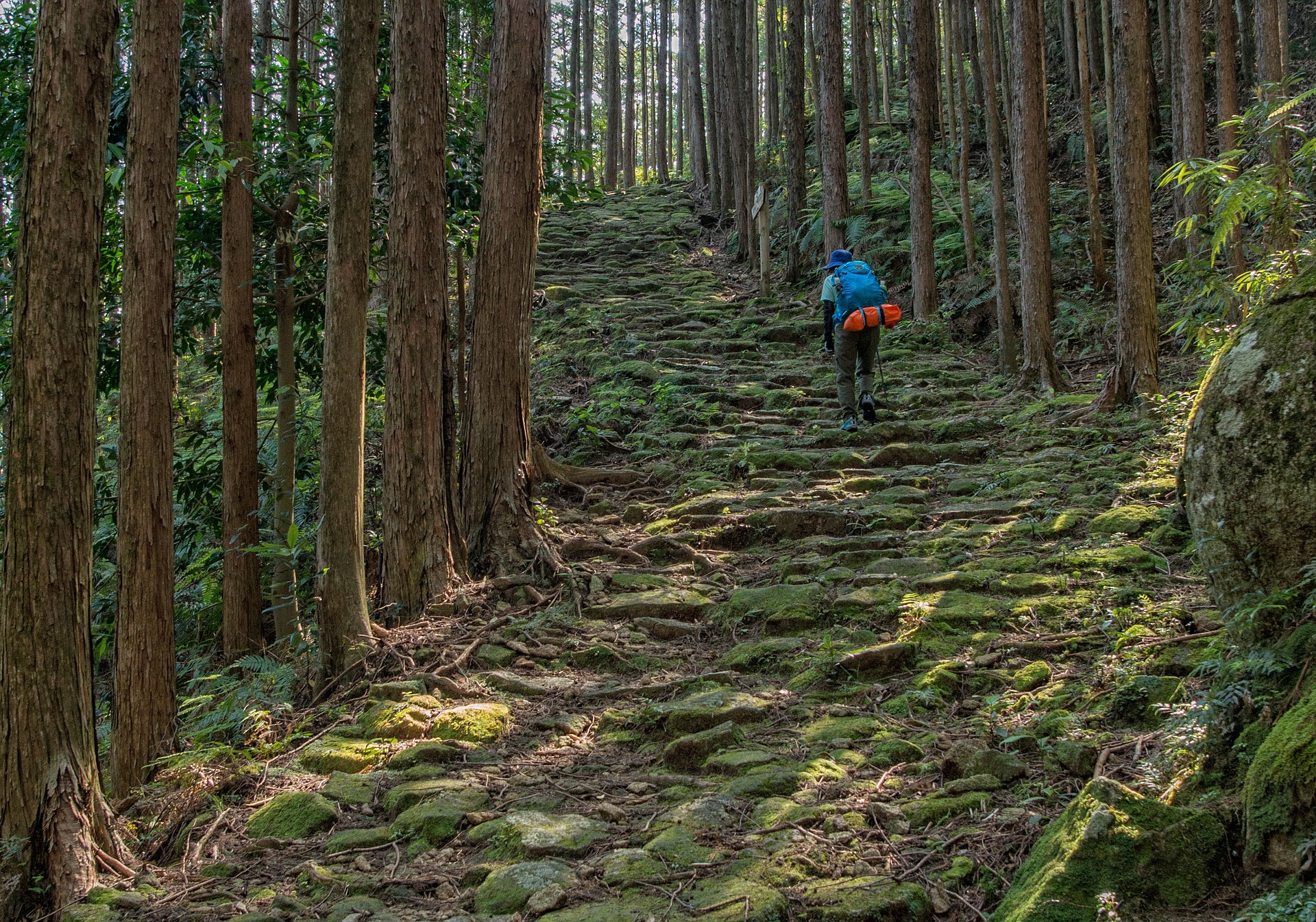 Kumano Kodo: a rota sagrada de peregrinação