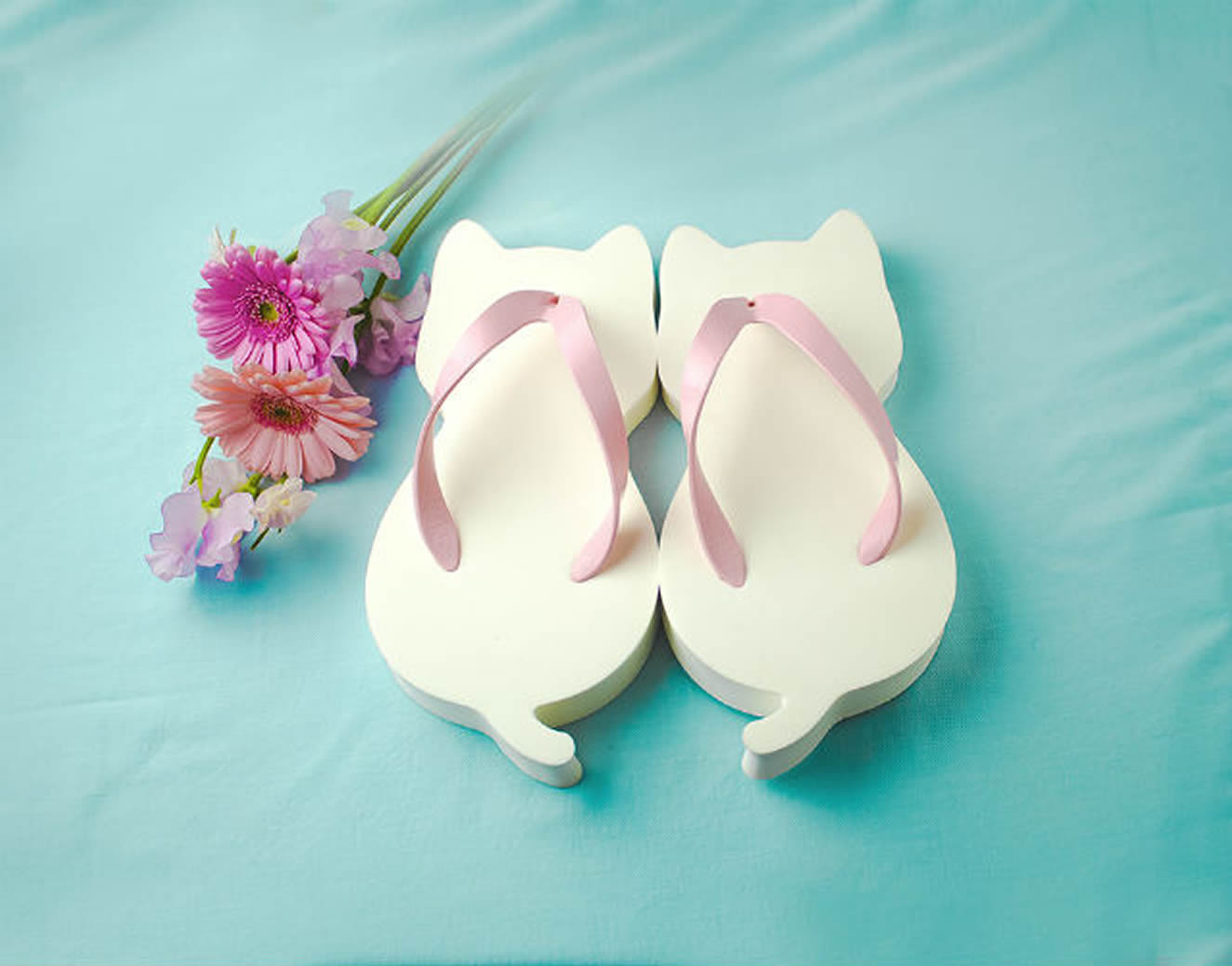 White Day: lançamento de adoráveis sandálias japonesas tradicionais ​​em forma de gato