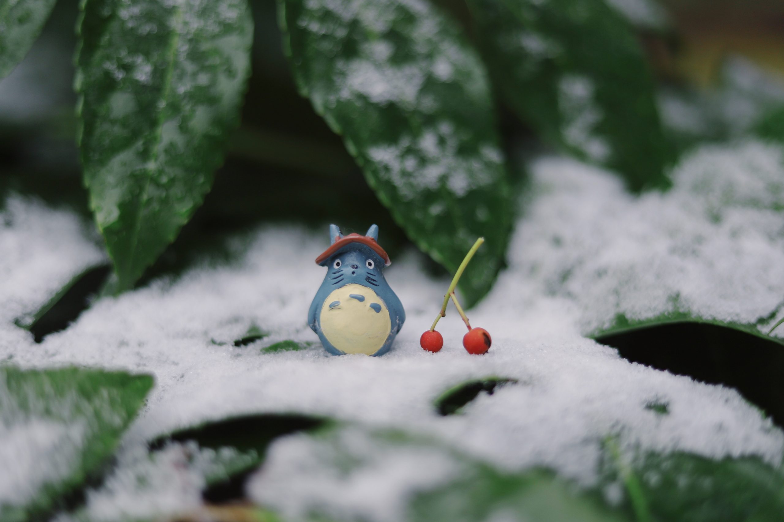 A abertura do parque temático do Studio Ghibli não será adiada, prometem planejadores