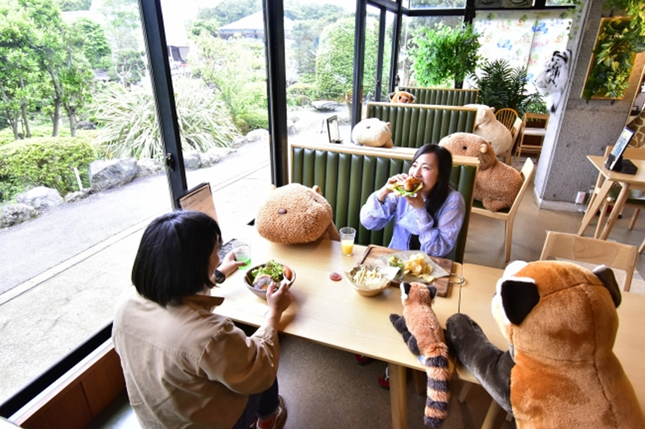 Capivaras de pelúcia ajudam a manter distanciamento social no Japão