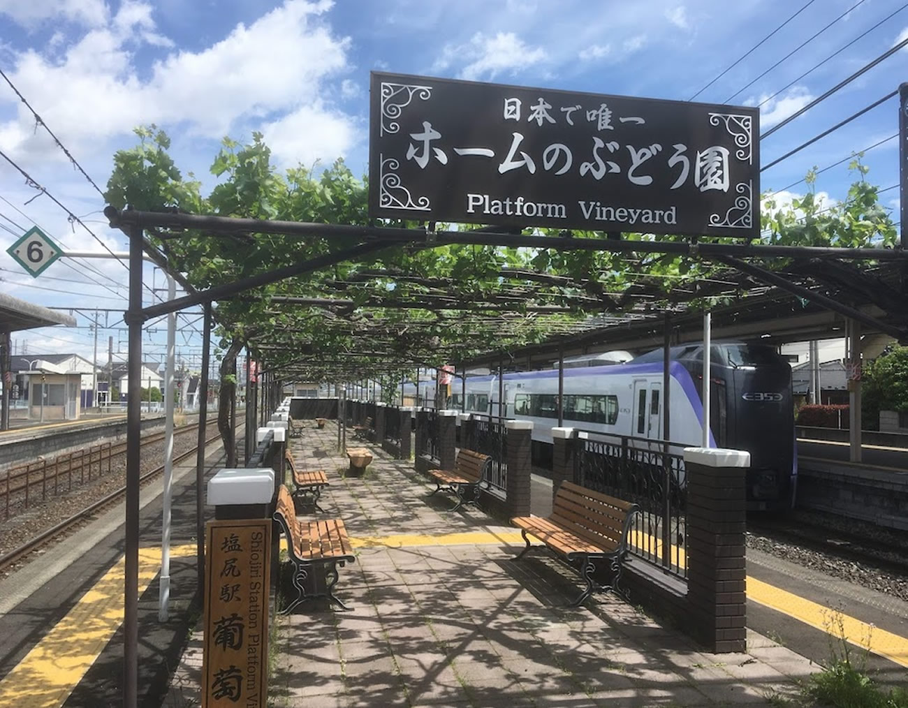 Uvas para vinho são atração em plataforma de estação de trem japonesa
