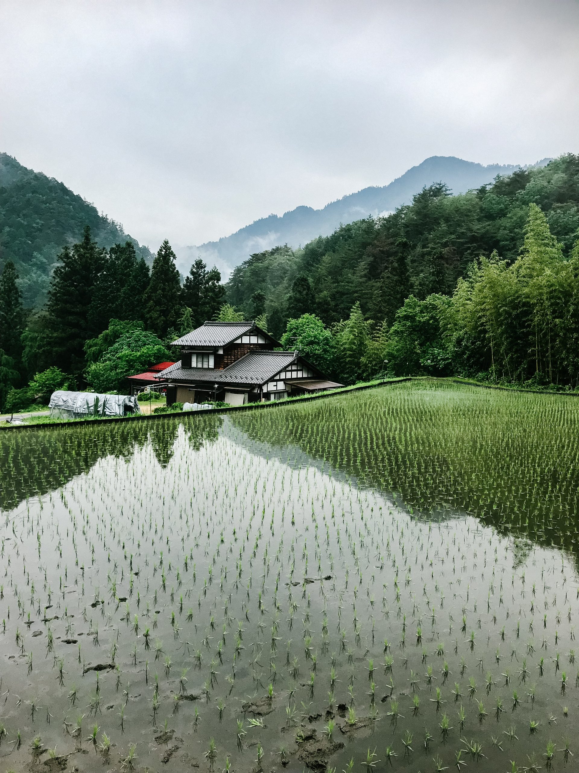 Novo estilo de vida: mais pessoas se mudam para áreas rurais em todo o Japão