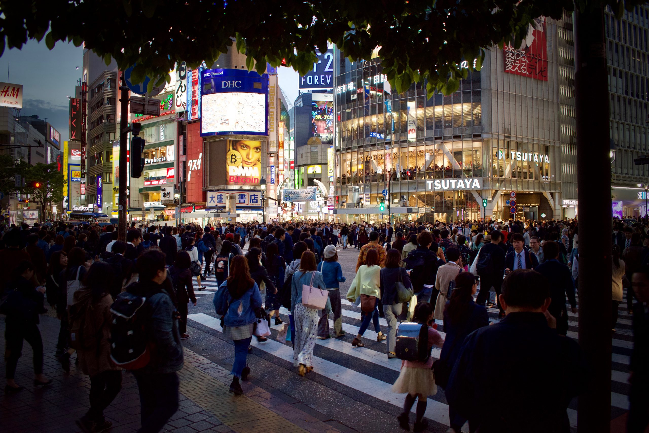 japan, human, tokyo