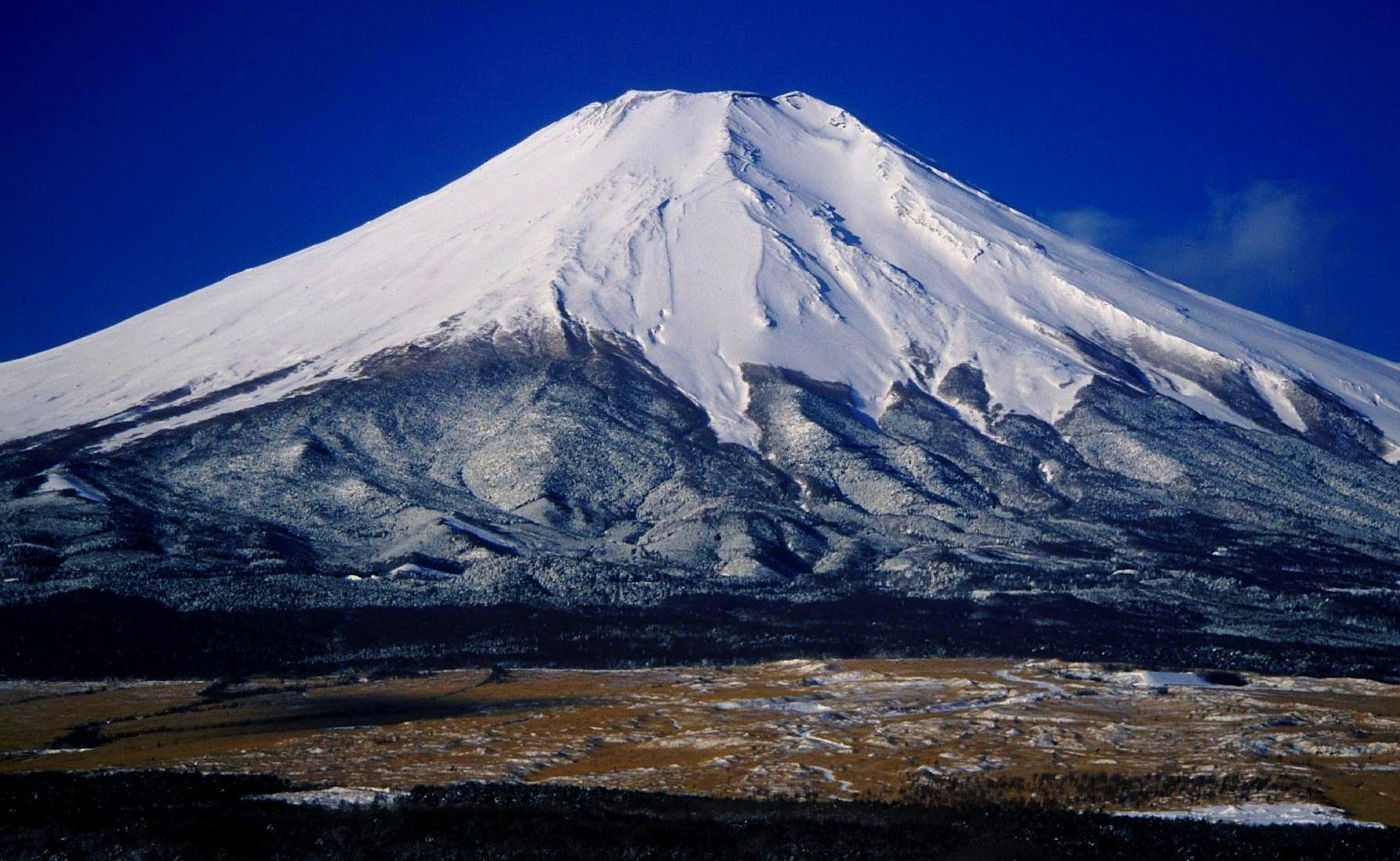 Toyota começa a construir cidade inteligente perto do Monte Fuji