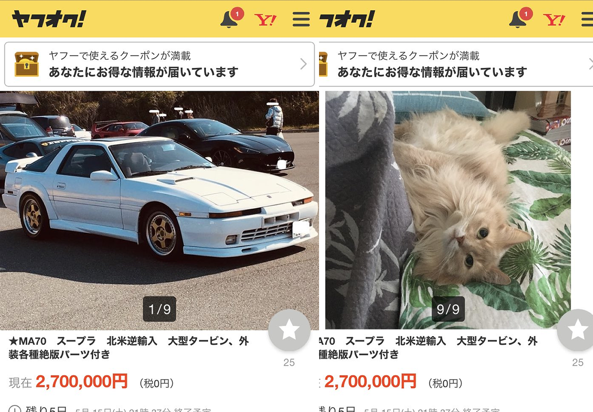 Japonês vende carro esporte para pagar contas médicas de gato doente e encontra o melhor comprador do mundo