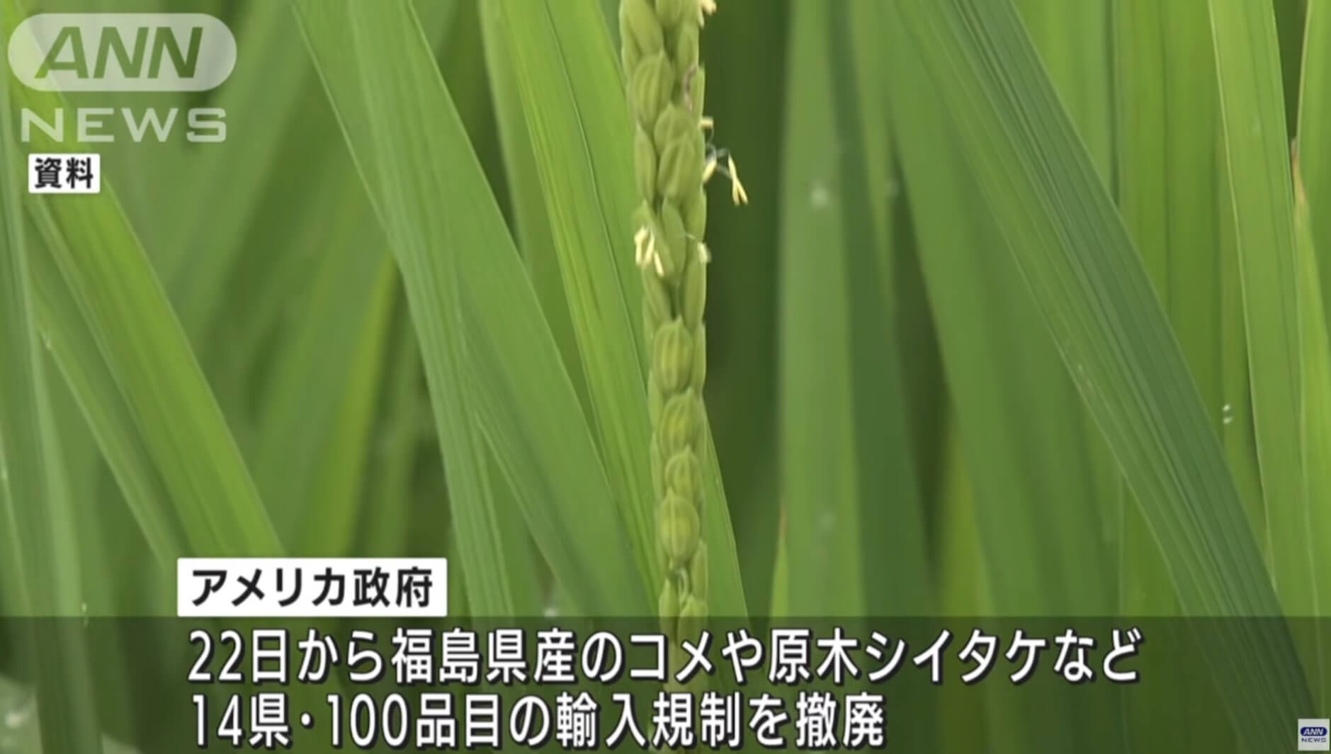 O governo dos EUA aboliu “restrições à importação” de produtos alimentícios japoneses