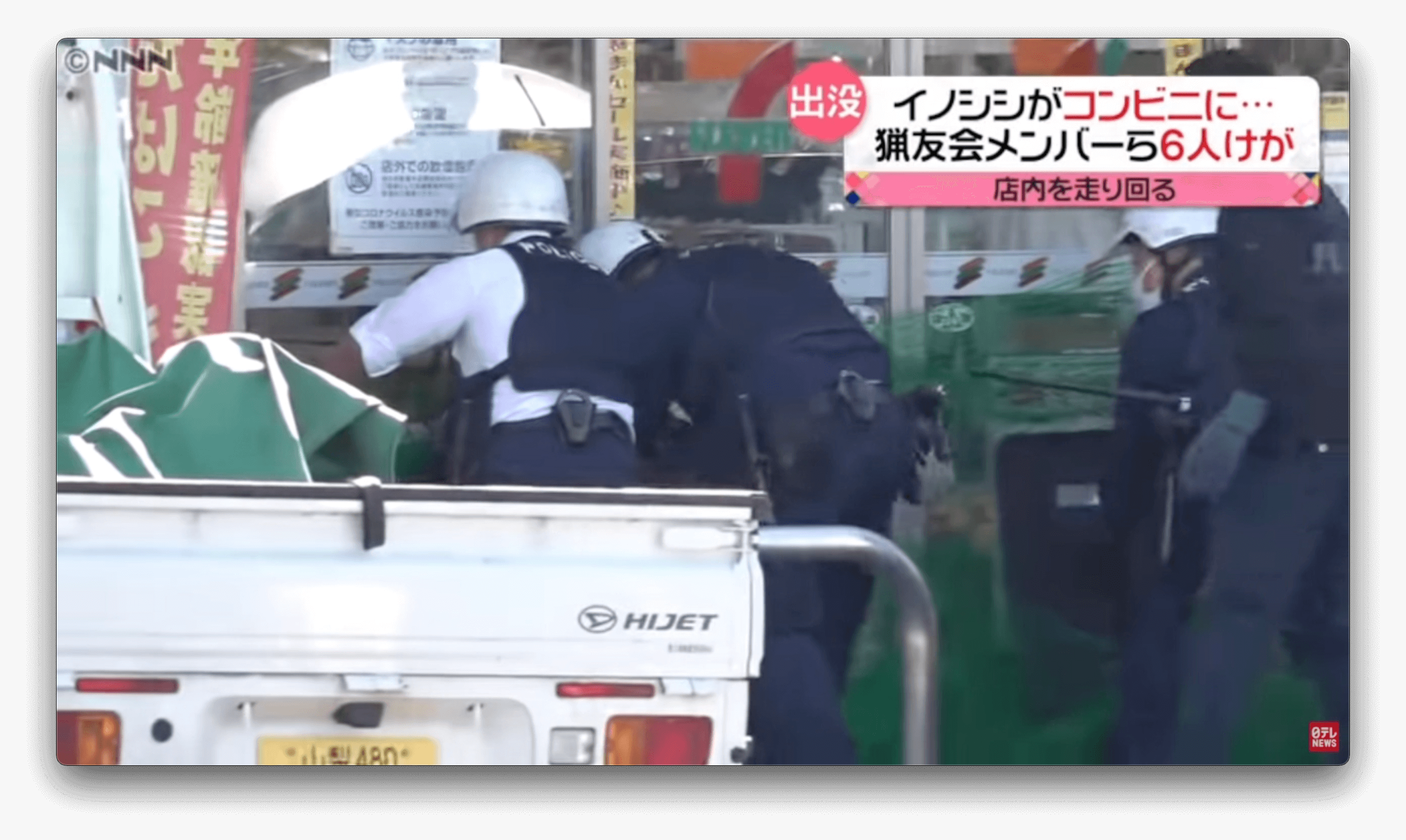 Javali aterroriza área residencial do Japão, ferindo 6 pessoas