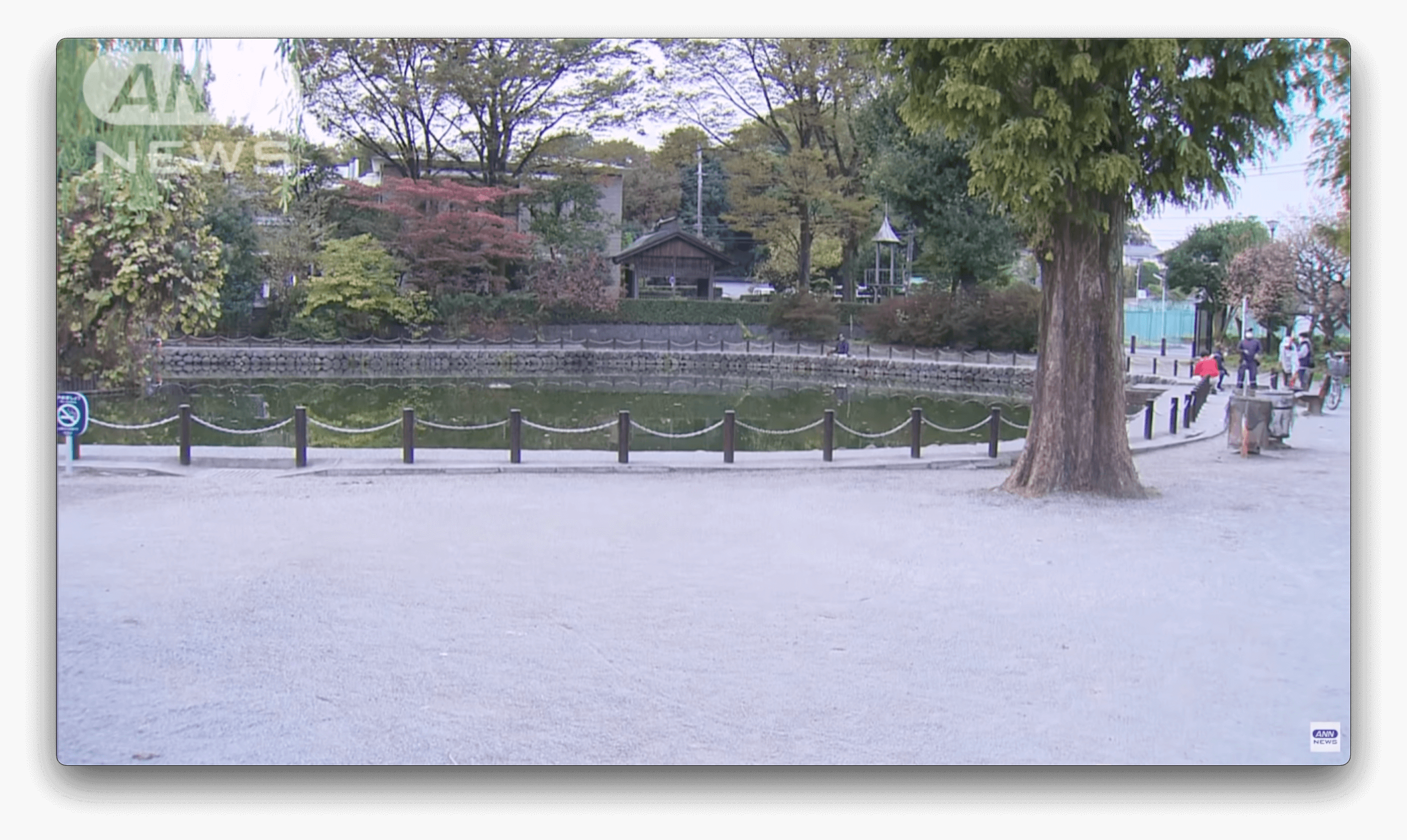 Grupo de 4 adolescentes, suspeito de jogar um menino em um lago, é preso em Tóquio