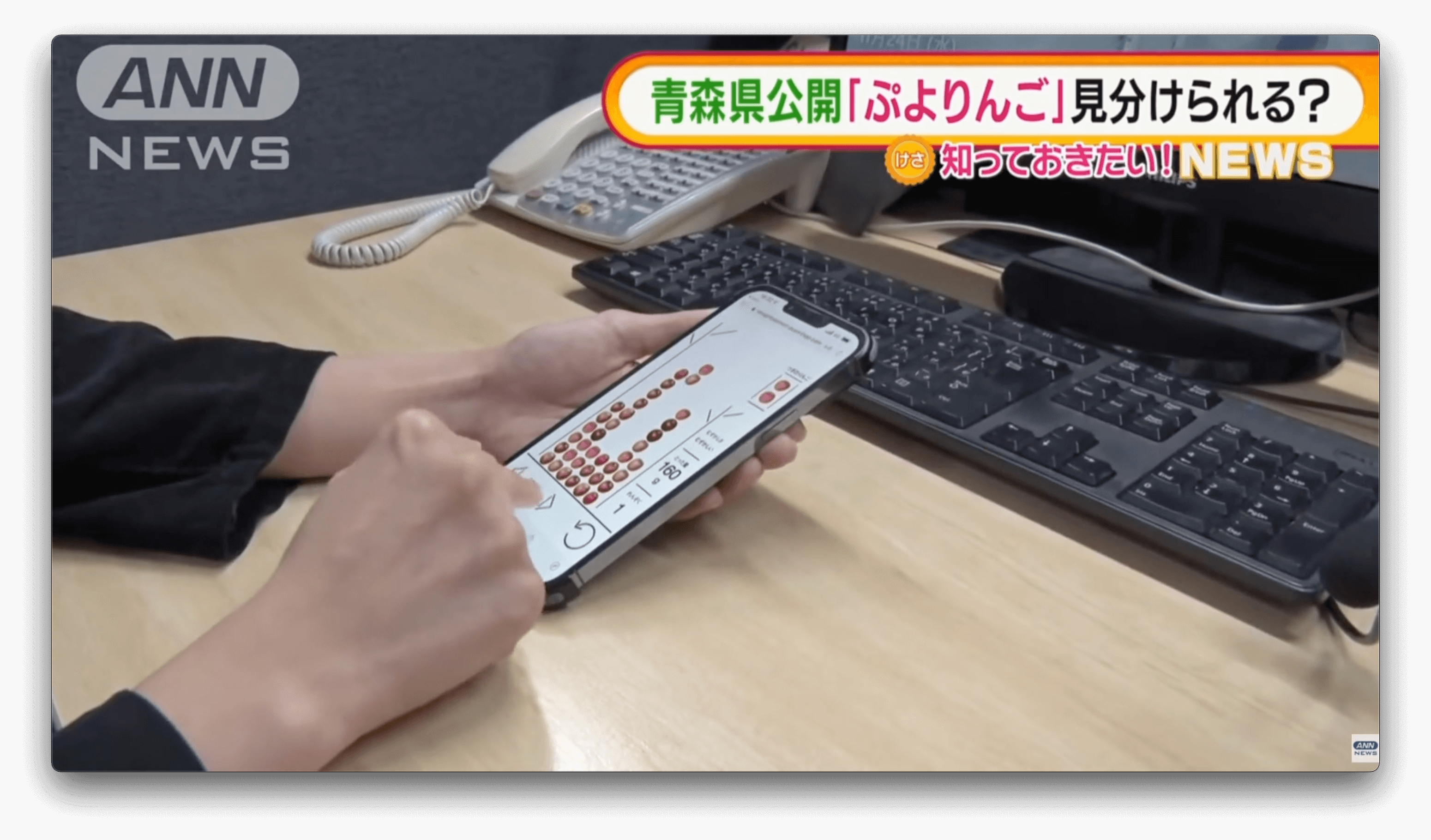 Jogo de celular Tetris de Maçãs de Aomori faz sucesso no Japão