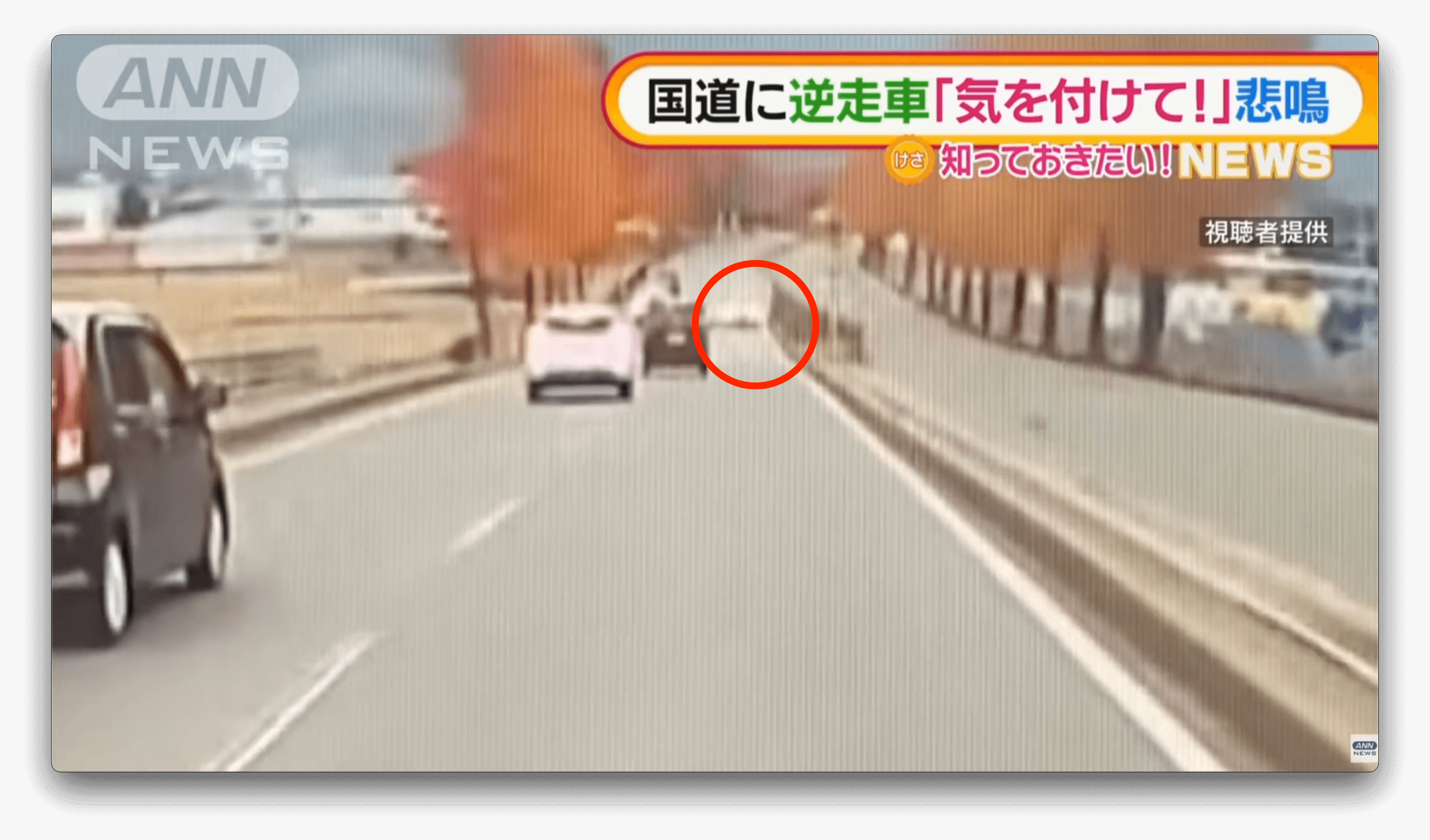 Carro é flagrado dirigindo na contramão em rodovia federal do Japão