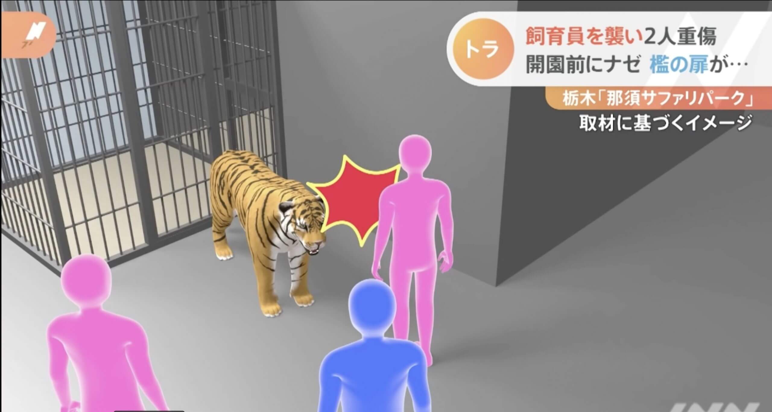 Três pessoas são atacadas por um tigre no Japão