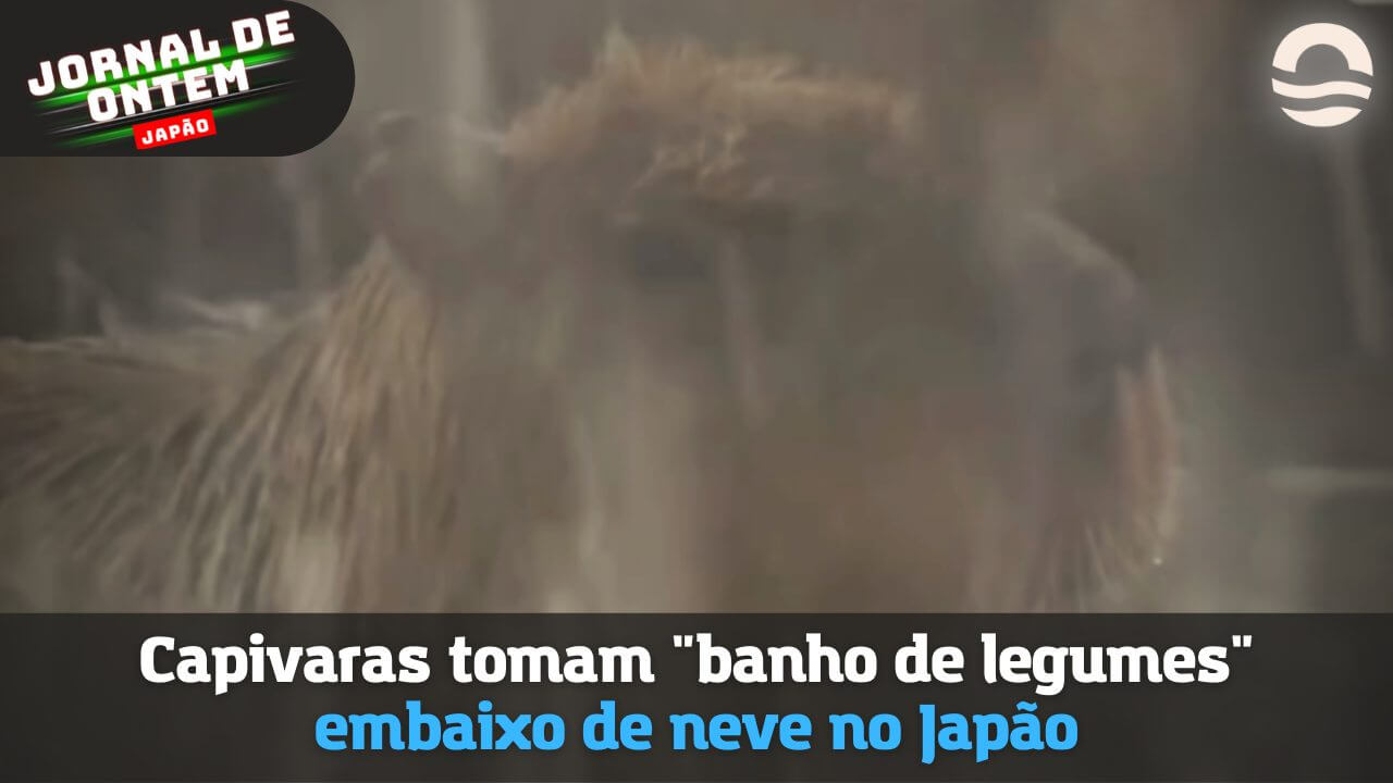Capivaras tomam “banho de legumes” embaixo de neve no Japão