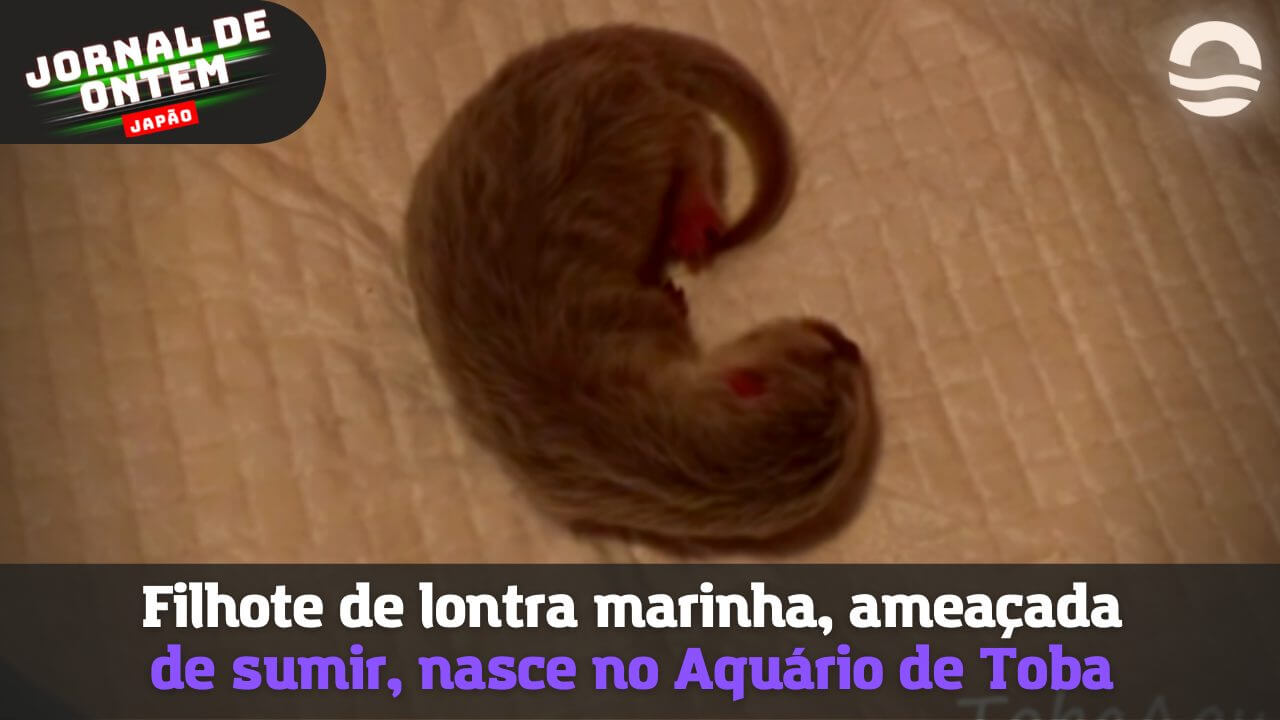 lontra