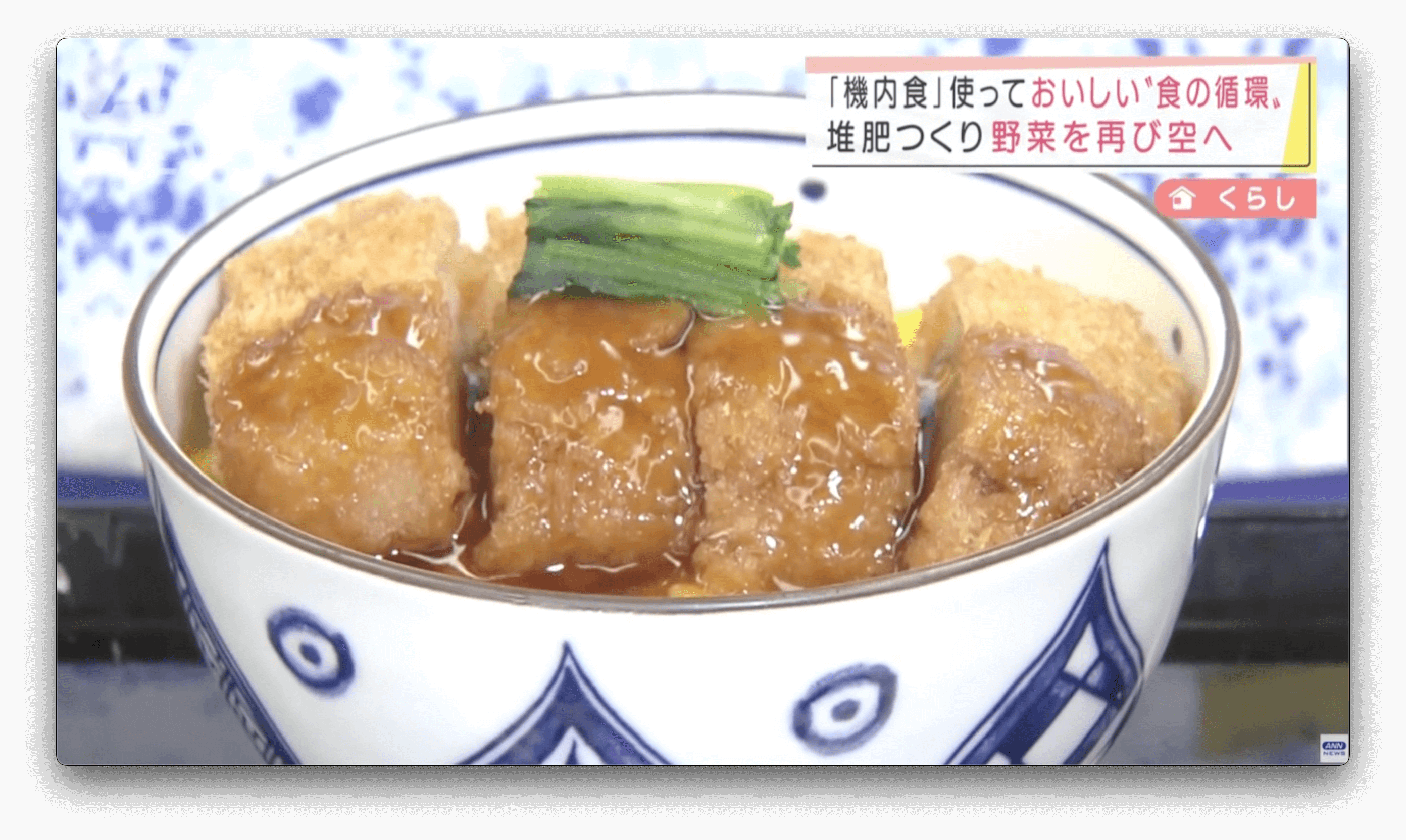 Empresa aérea do Japão passa a servir refeições com alimentos de compostagem de comida reciclada