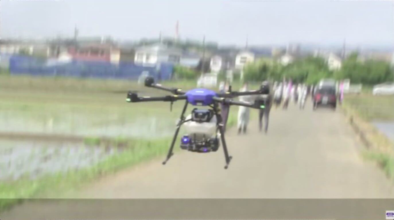 Drone vira parceiro de agricultores no Japão para combater praga de caracóis 