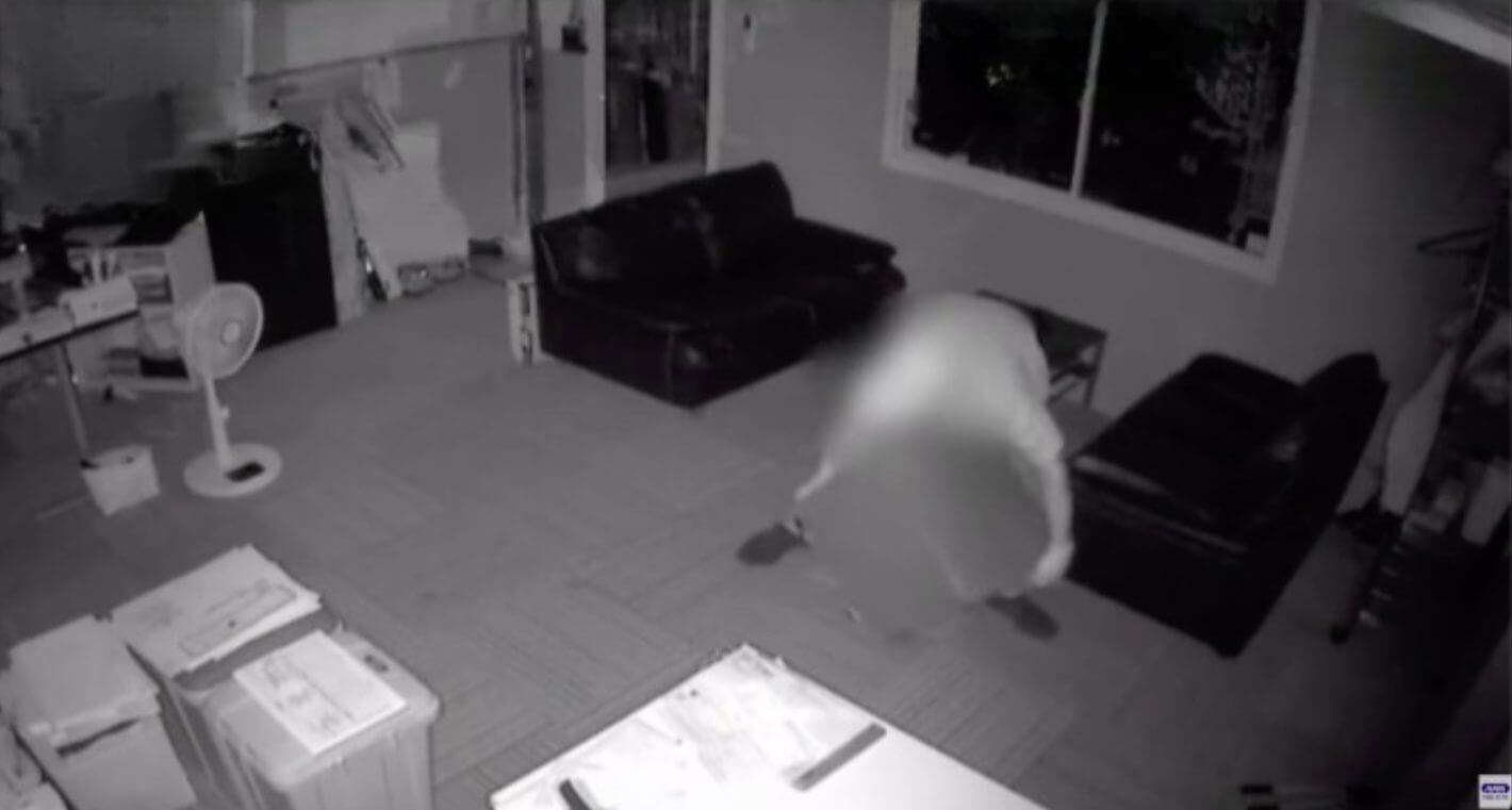 Vídeo mostra cofre sendo furtado de escritório no Japão&nbsp;
