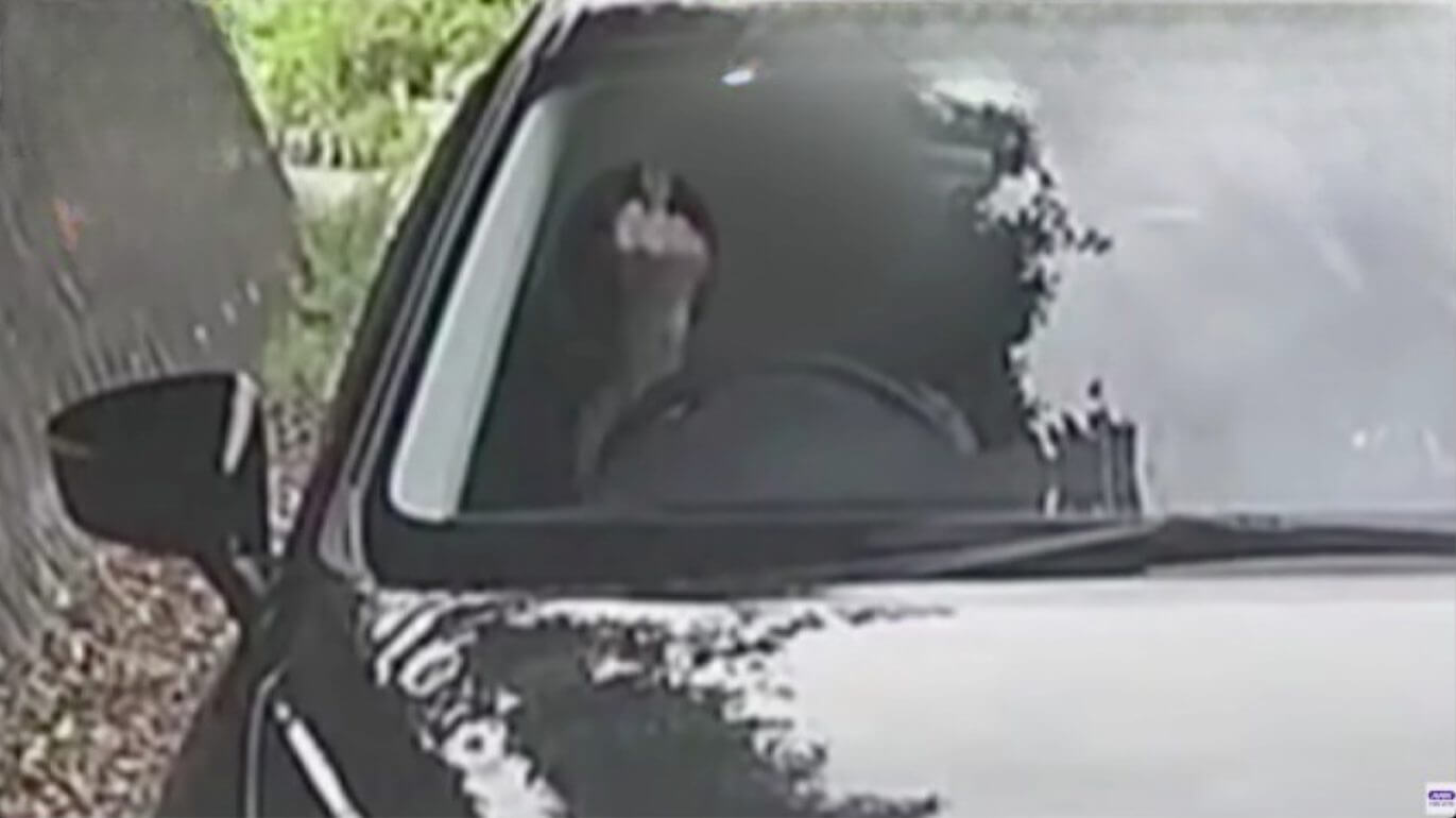 Rua estreita, onde se passa apenas um carro por vez, tem solução inesperada capturada em vídeo