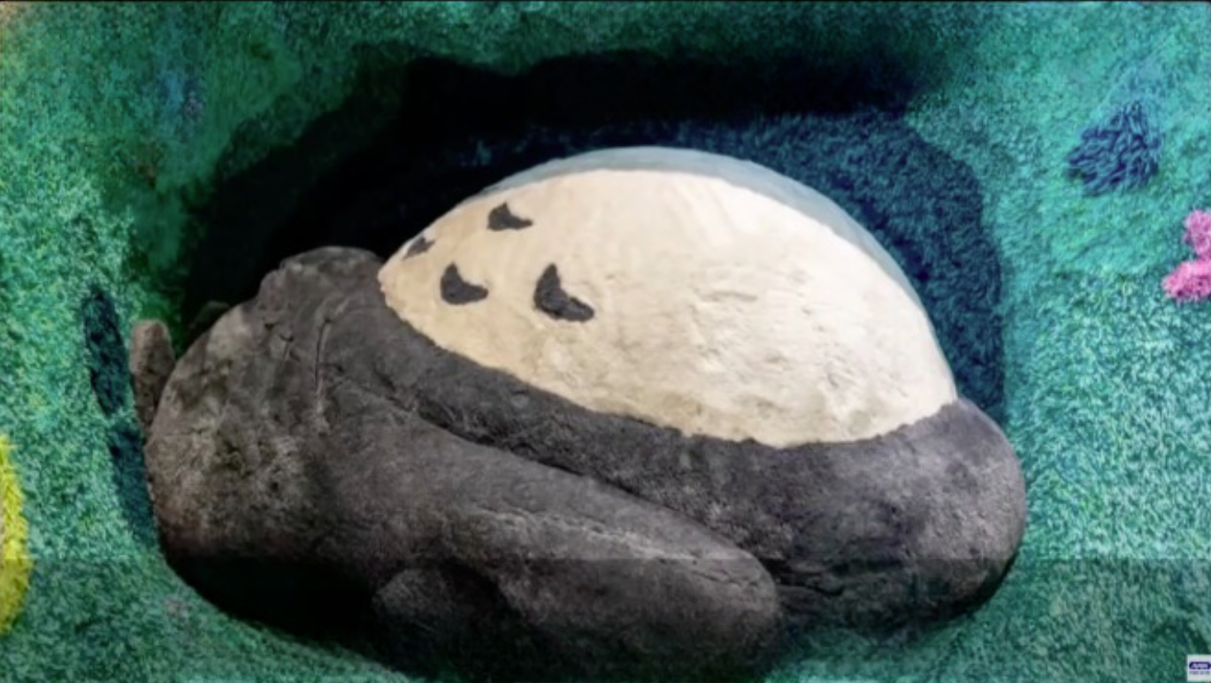 Instalações do parque do Studio Ghibli são reveladas no Japão 