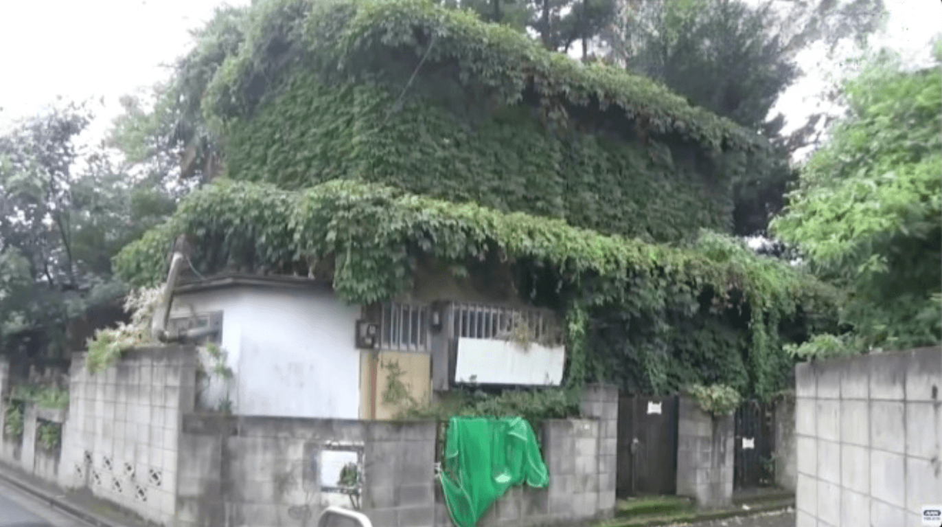 Governo criará grupo sobre o avanço de casas e conjuntos habitacionais abandonados no Japão 