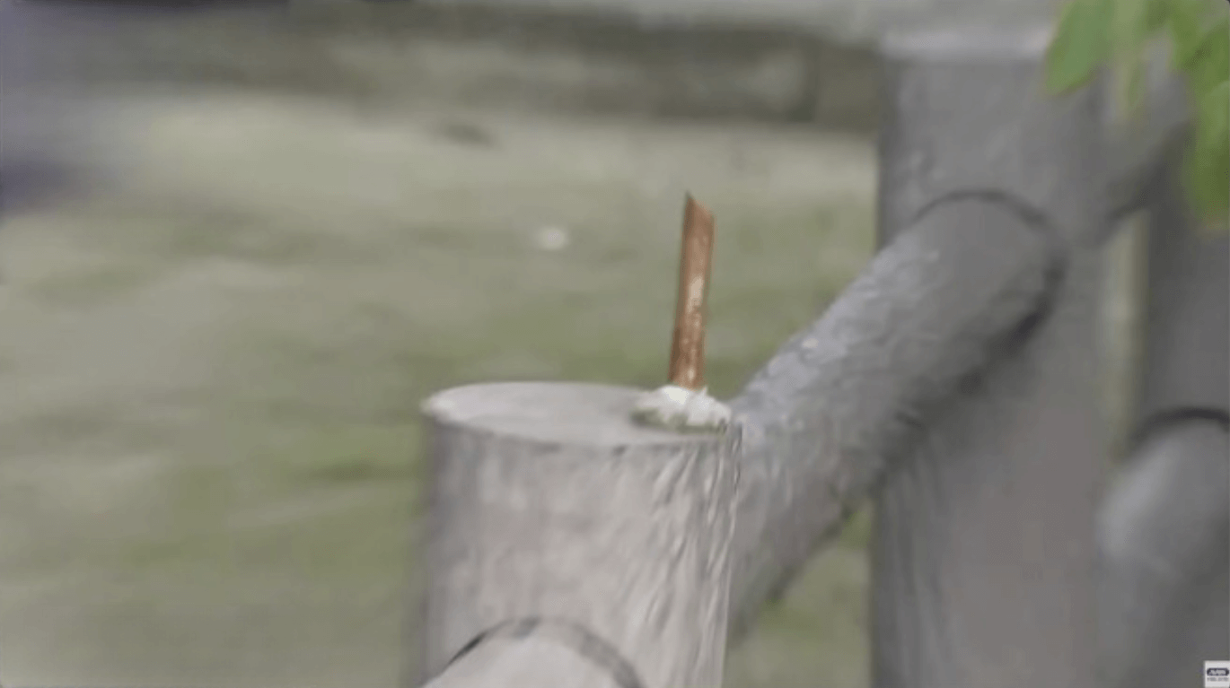 Esculturas de ponte somem e uma é encontrada em rio no Japão 