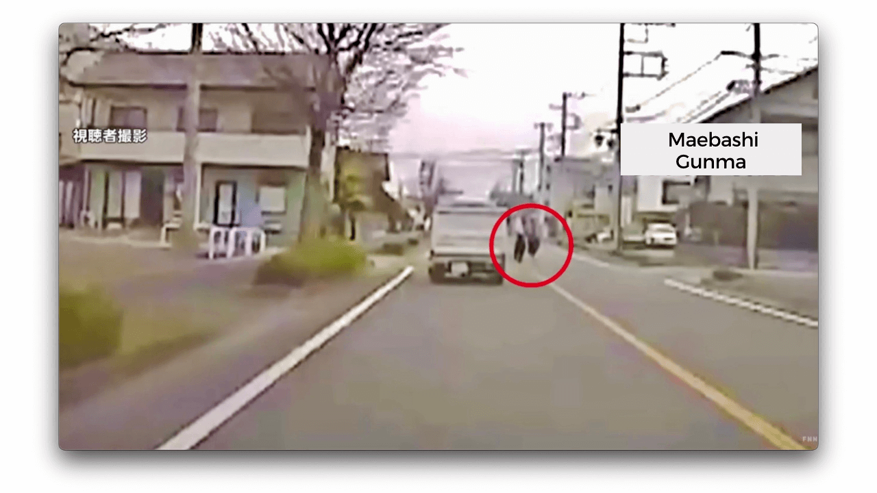 Dois pôneis aparecem em rua do Japão 