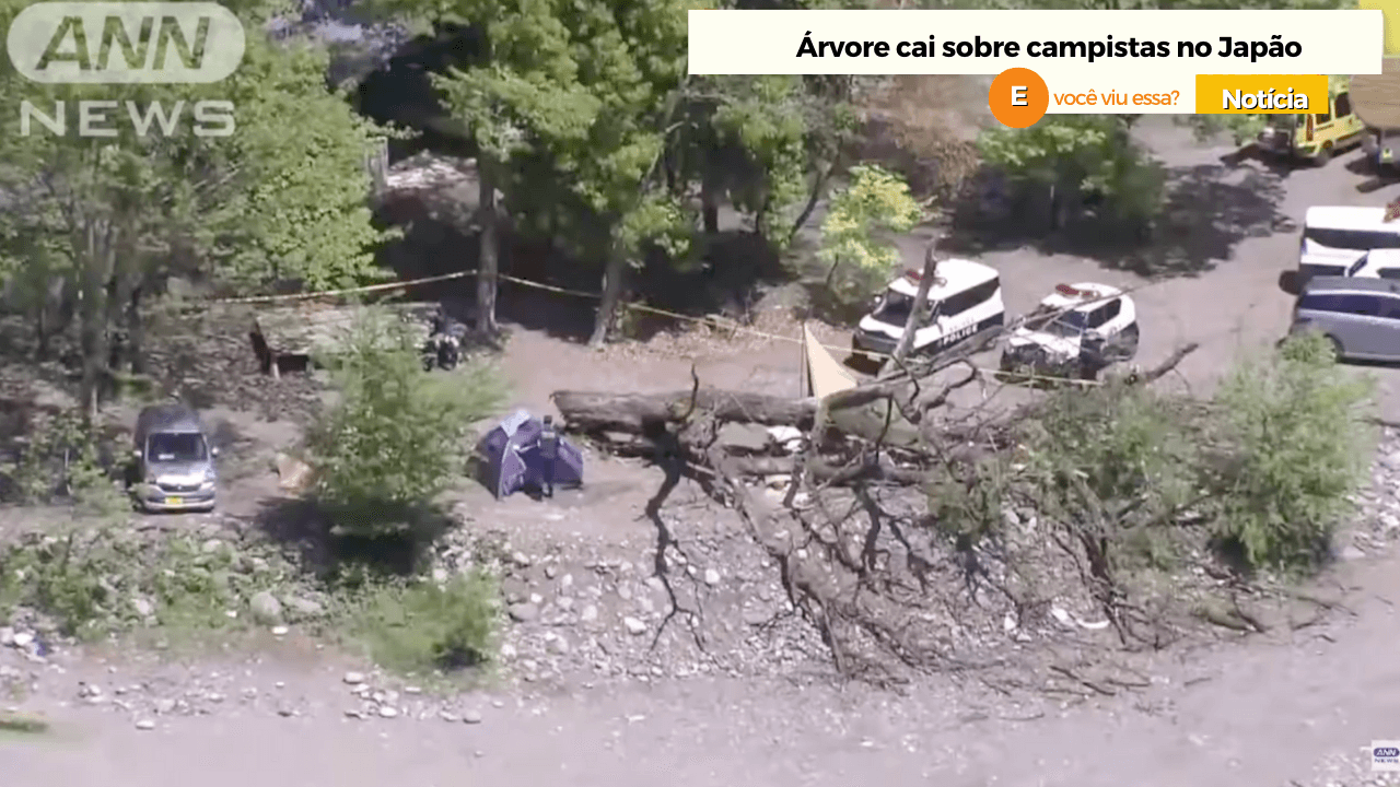 Árvore cai sobre campistas no Japão 