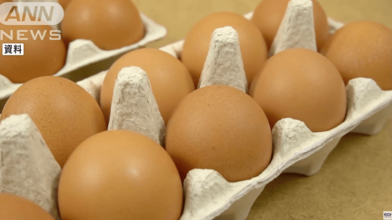 Empresa do Japão vai importar ovos do Brasil devido à grave escassez 