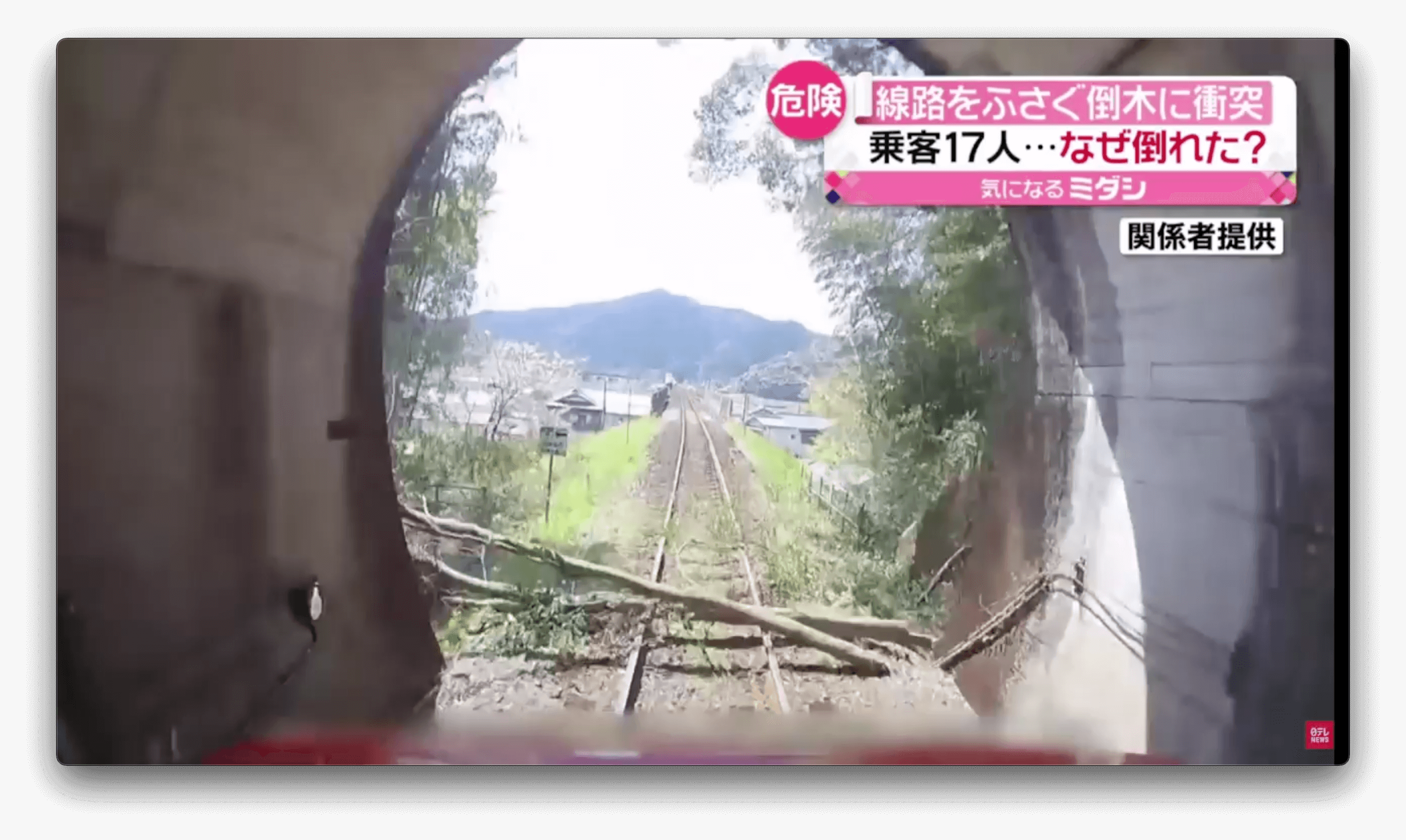 Veículo colide com árvore na saída de túnel no Japão 