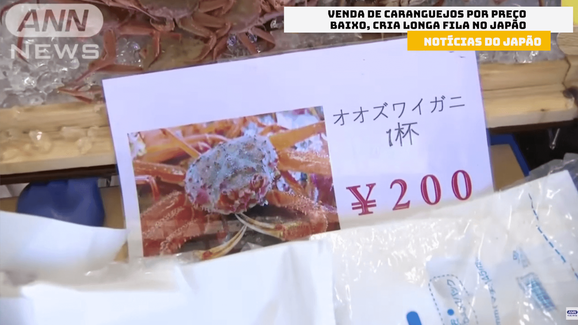 Venda de caranguejos por preço baixo, cria longa fila no Japão 