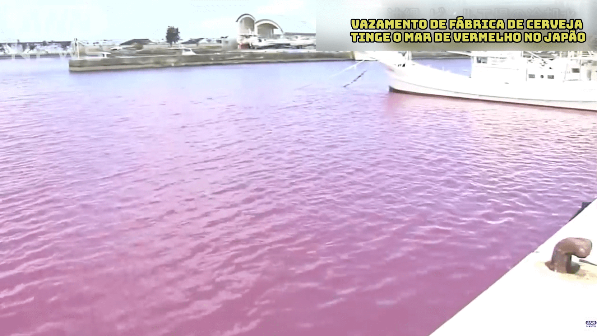 Vazamento de fábrica de cerveja tinge o mar de vermelho no Japão