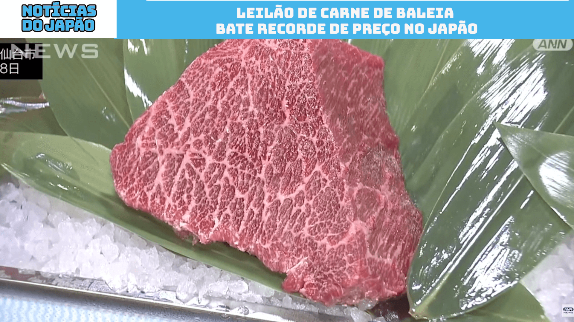 Leilão de carne de baleia atinge recorde de preço no Japão