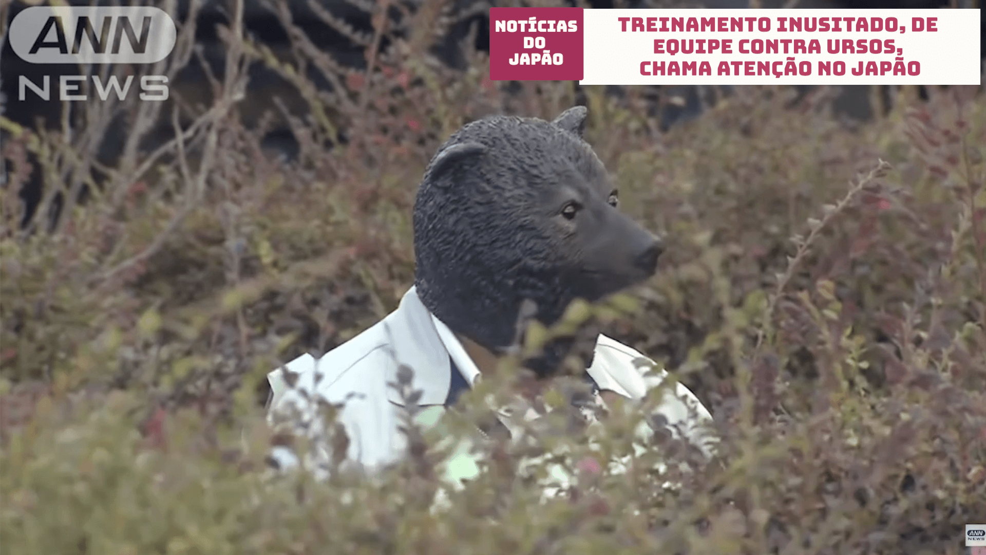 Treinamento inusitado, de equipe contra ursos, chama atenção no Japão 