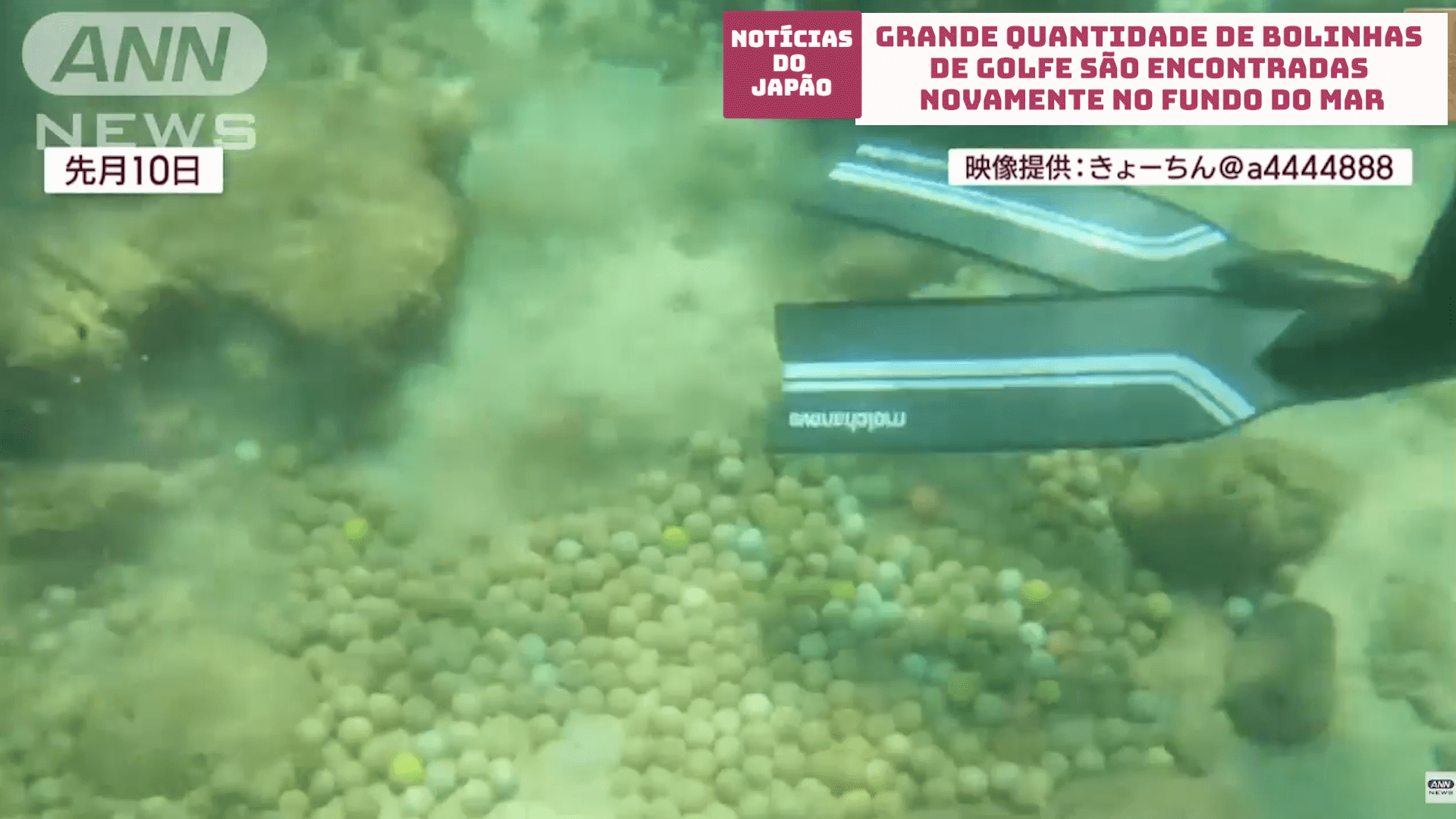 Grande quantidade de bolinhas de golfe são encontradas novamente no fundo do mar no Japão 