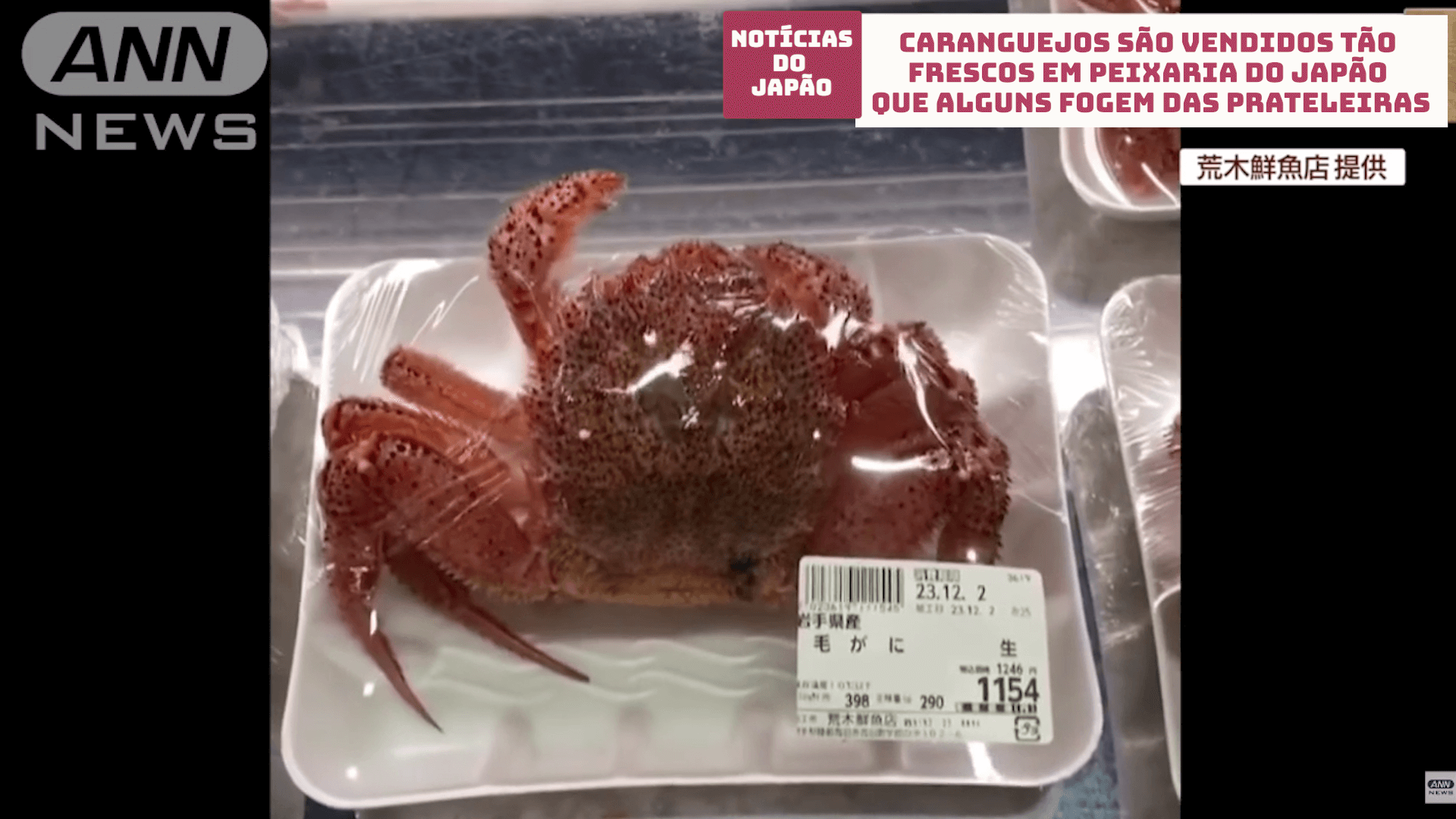 Caranguejo é vendido tão fresco em peixaria do Japão que alguns fogem das prateleiras 