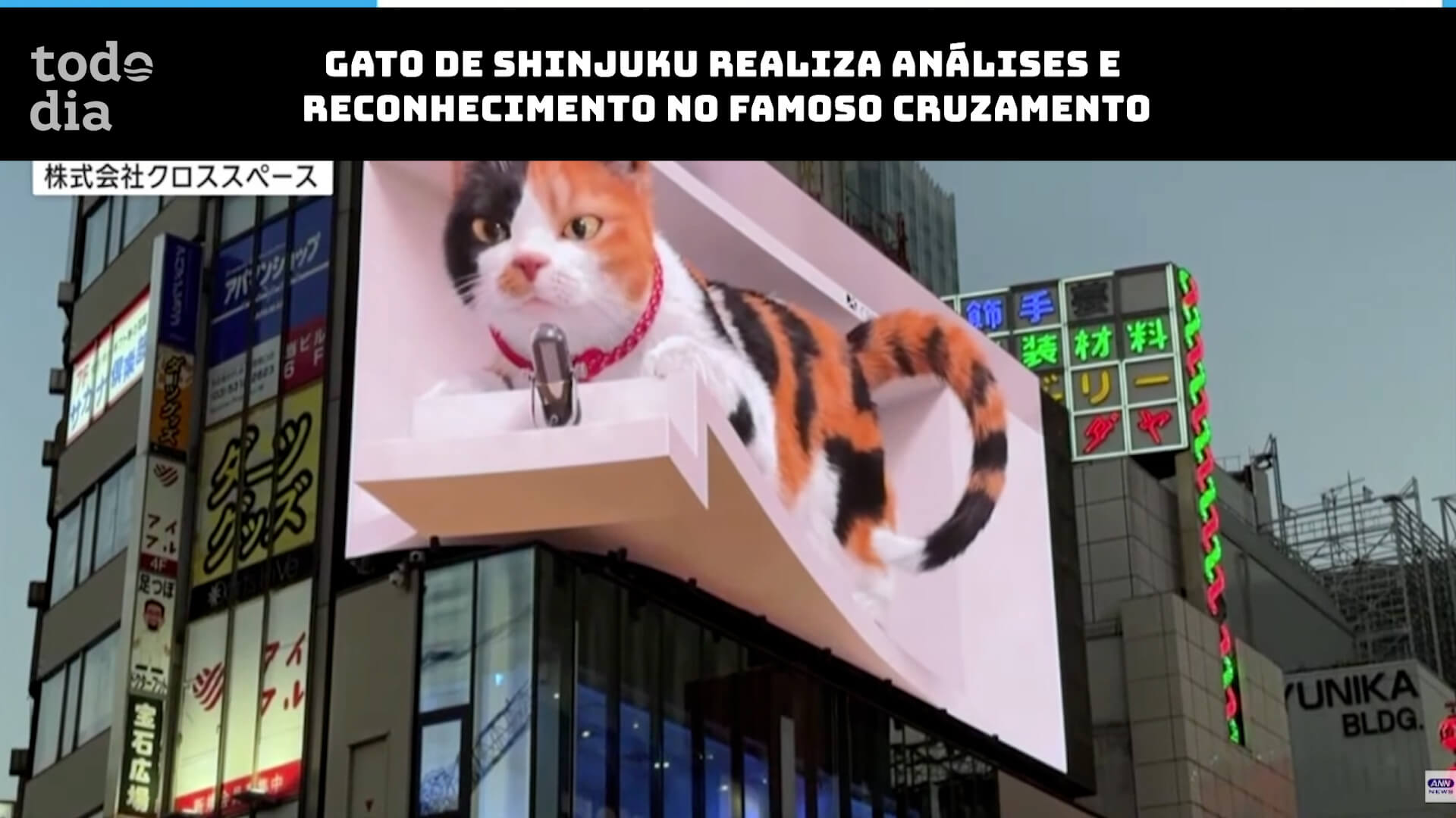 Gato de Shinjuku realiza análises e reconhecimento no famoso cruzamento