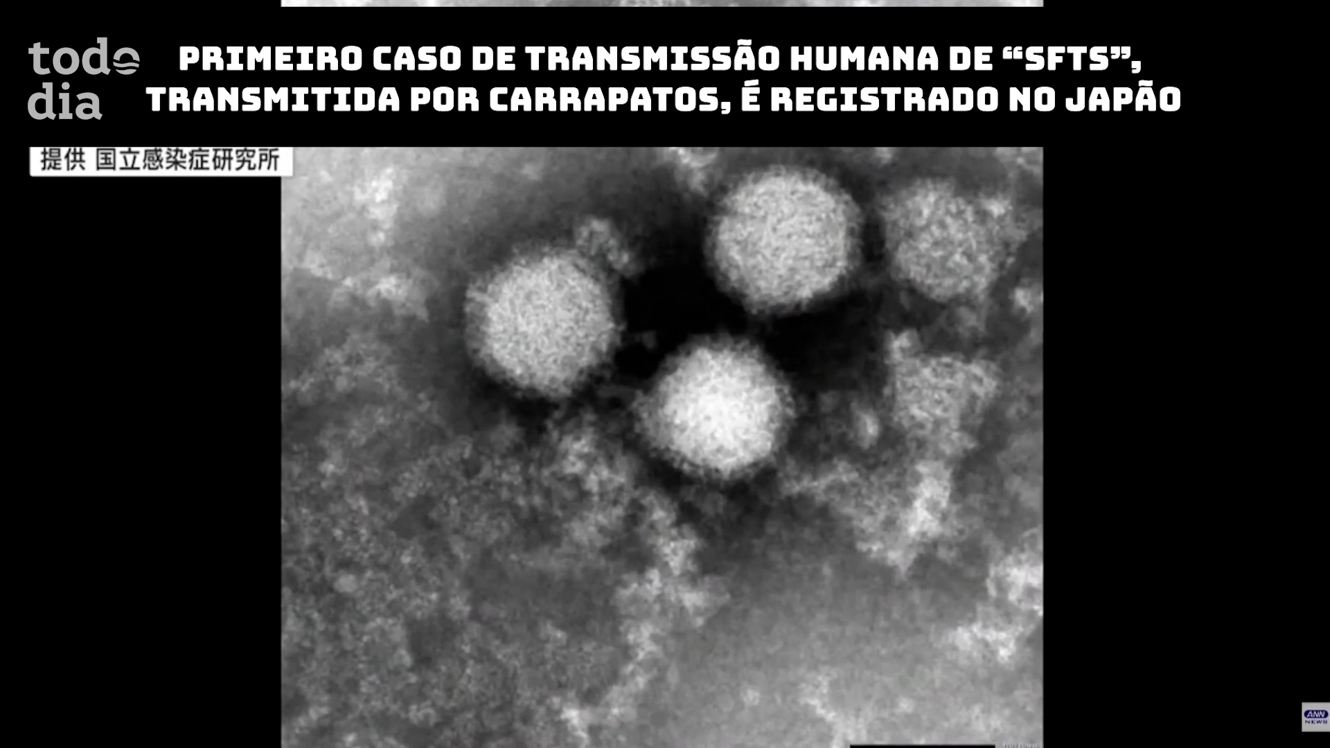 Primeiro caso de transmissão humana de “SFTS”, transmitida por carrapatos, é registrado no Japão 