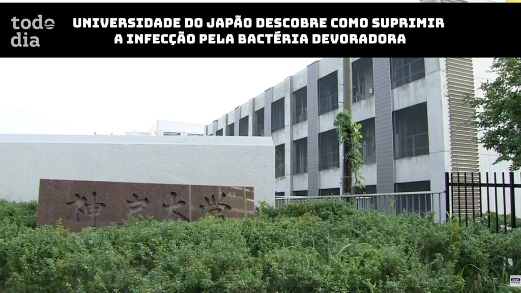 infecção