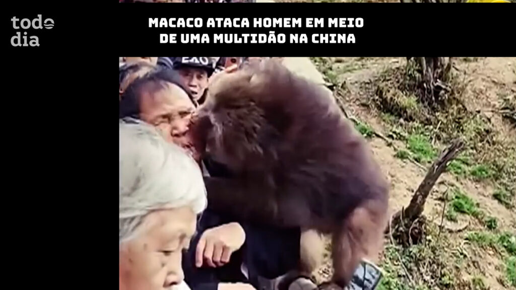 macaco