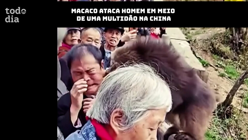 macaco