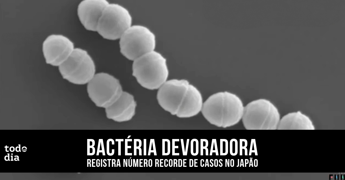bactéria